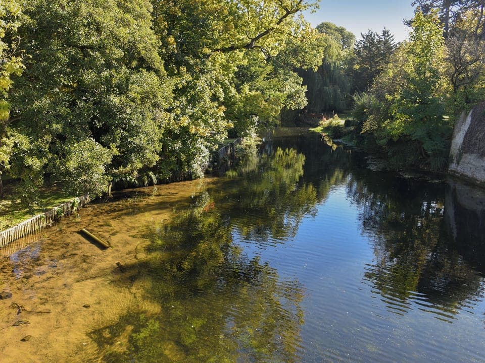 Surrounding area | Riverside Cottage - Bridge Cottage and Apartments, Brandon