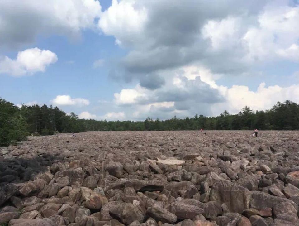 The Boulder Field at Hickory Run State Park is a natural wonder.