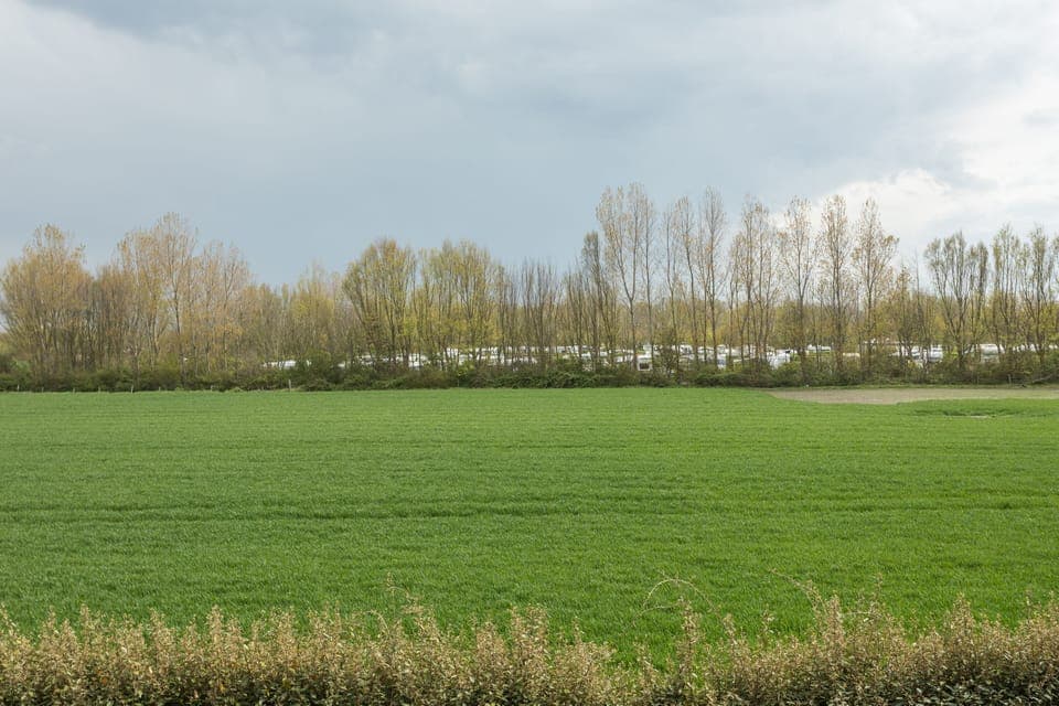 V.I.P. Suite 4P (Max. 1 dog allowed on Request) | Terrace/patio