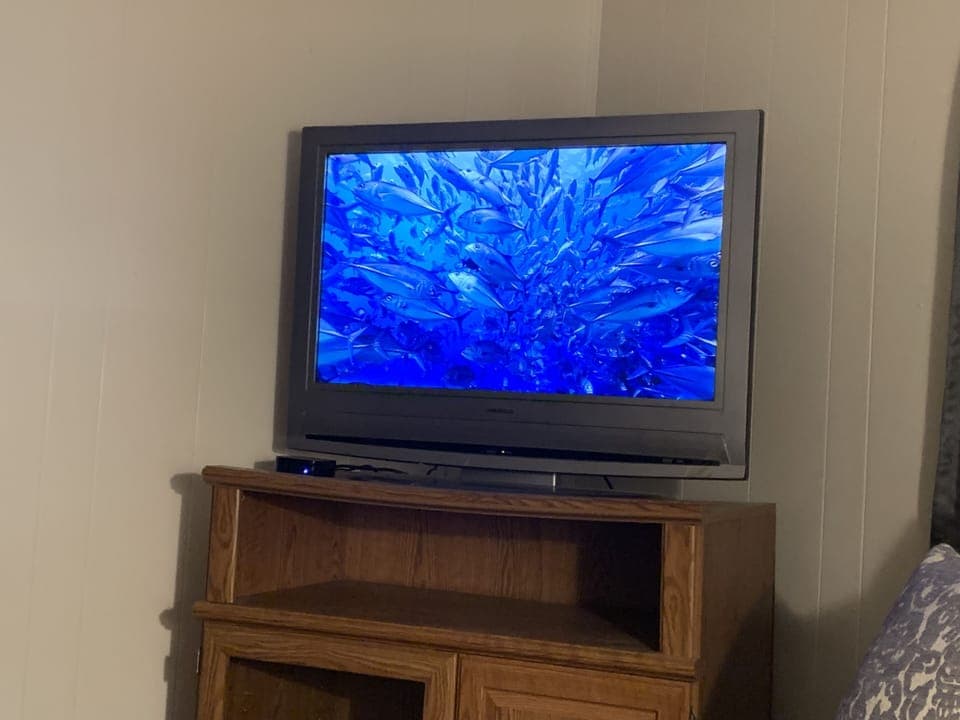 Television
