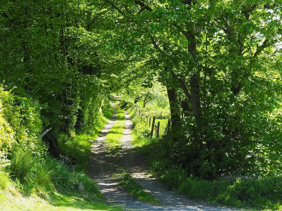 Surrounding area | Ty Gwair - Goetre Isaf, Lampeter