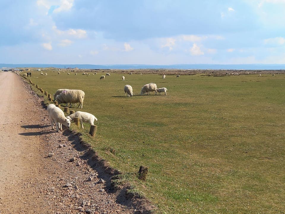 Surrounding area | Point Break, Westward Ho, near Bideford
