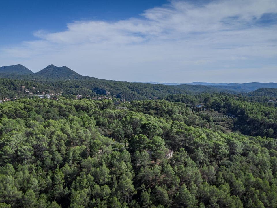 Region [summer] (>5 km)