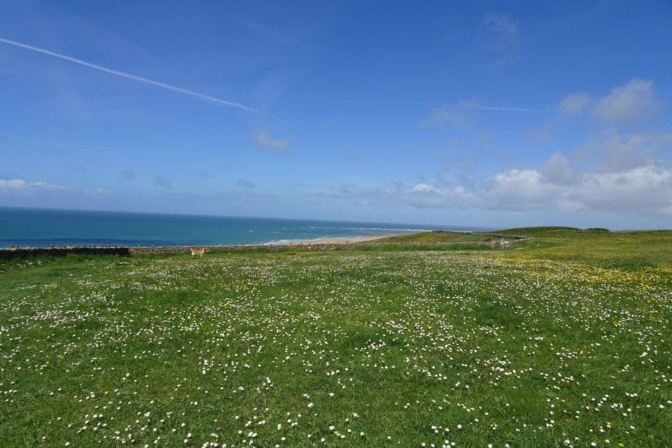 Immediate Surroundings [summer] (<1 km)