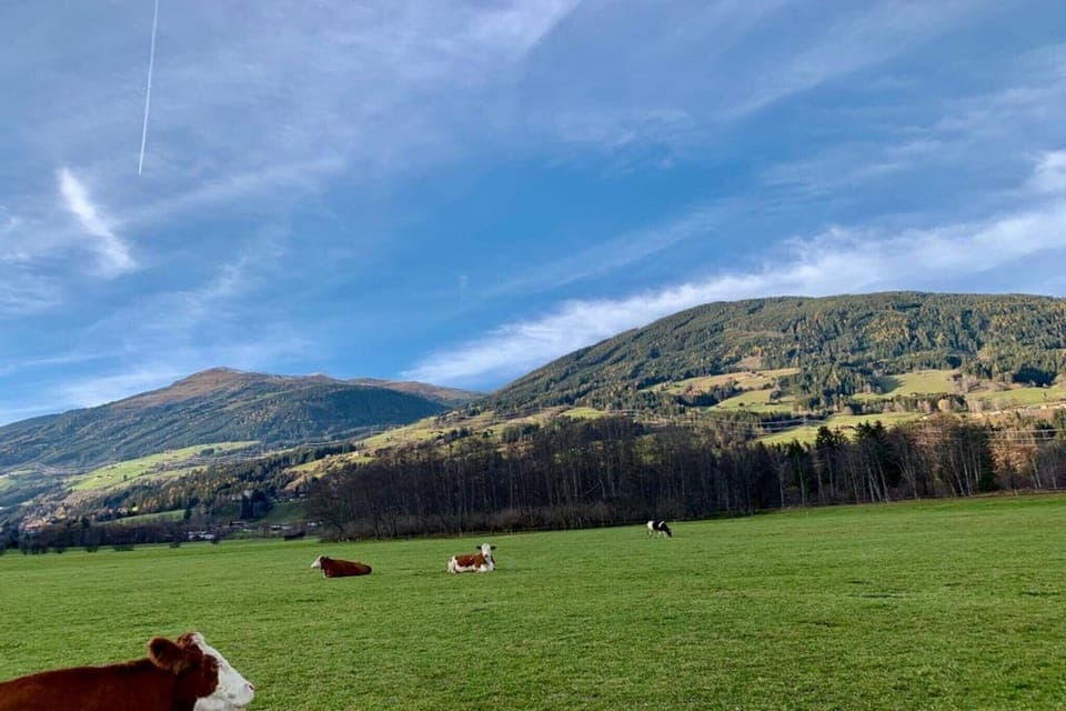 Immediate Surroundings [summer] (<1 km)