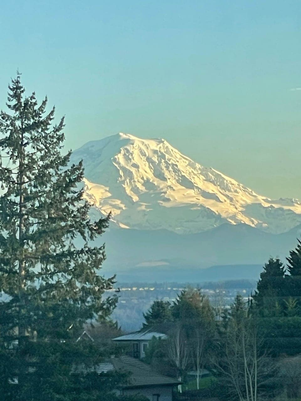 View of Mt. Rainier from the space