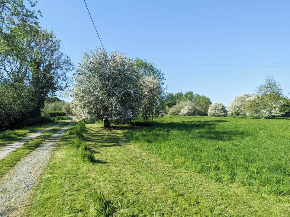 Driveway | Larks Nest, Diss