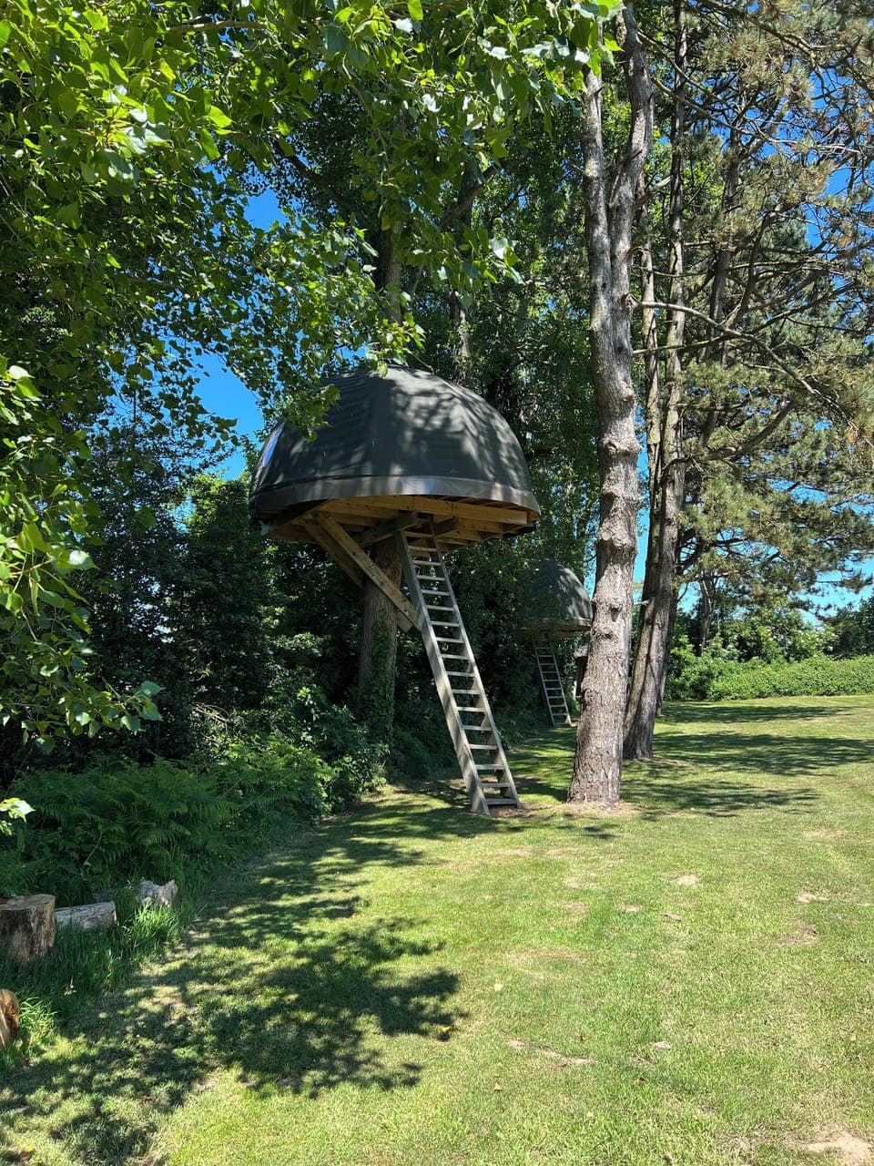 Tree House