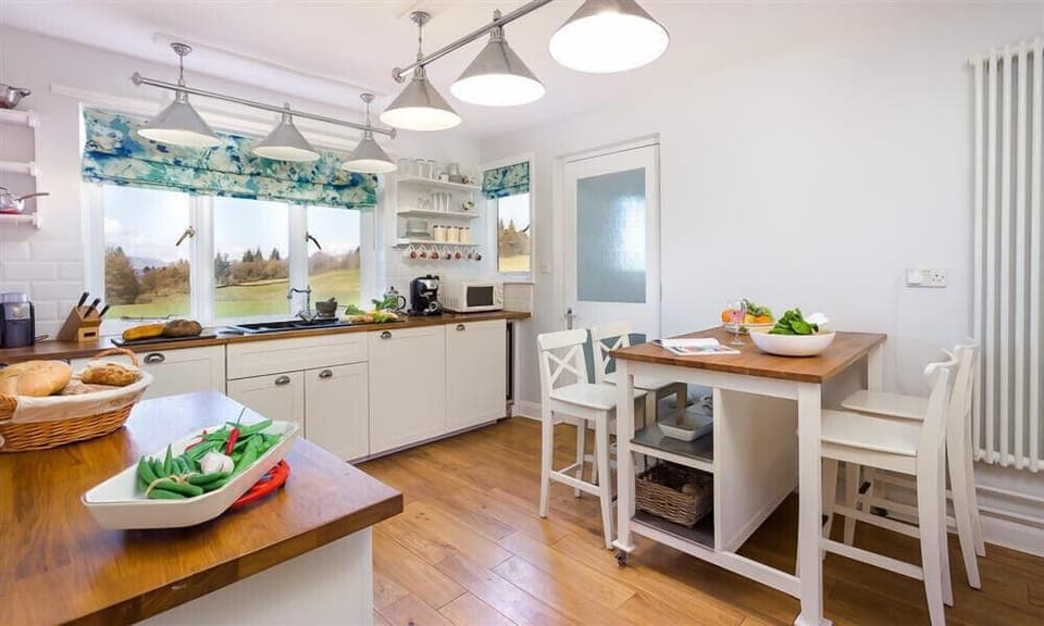 Fridge, dishwasher, cookware/dishes/utensils