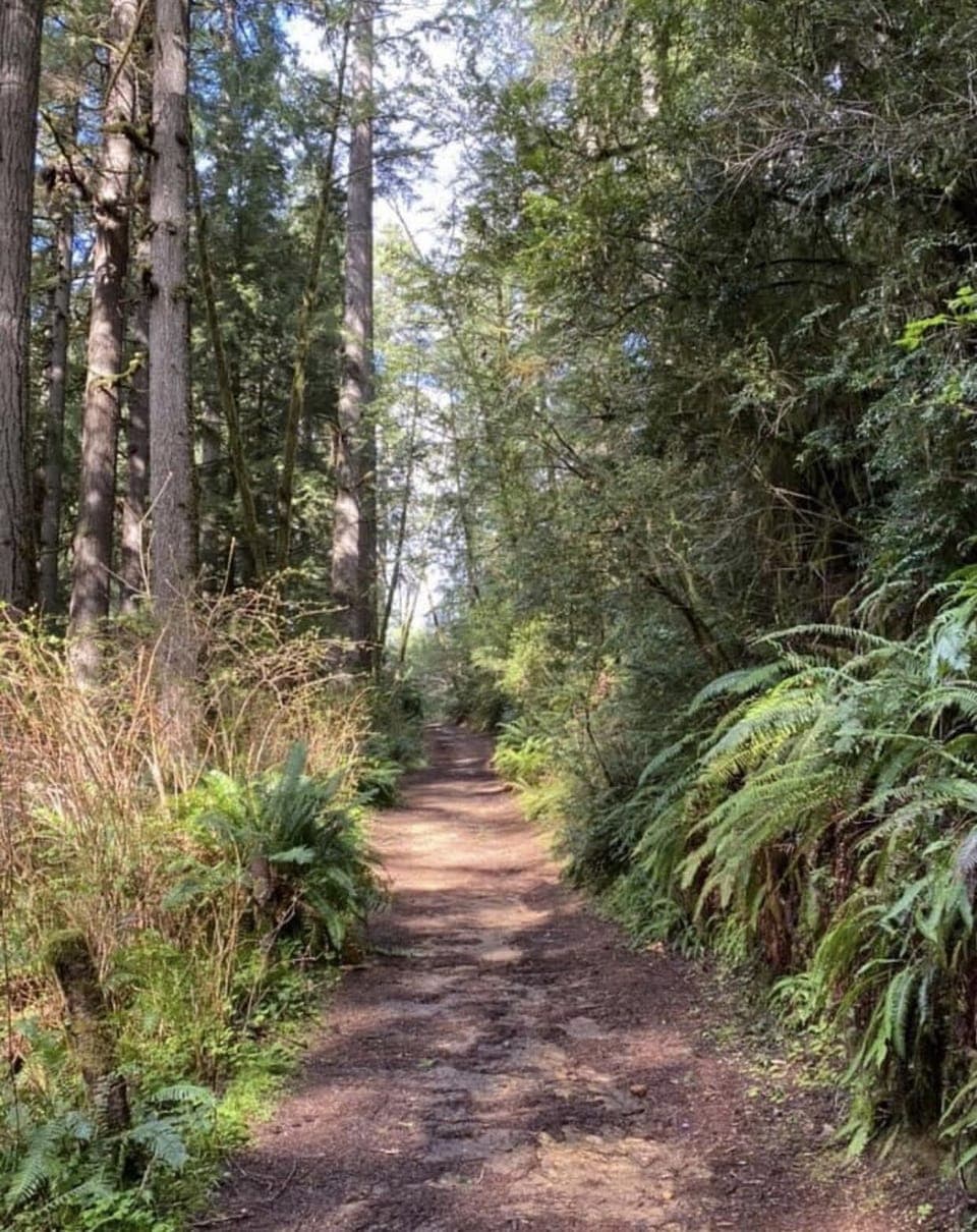 A small portion of miles of trails 