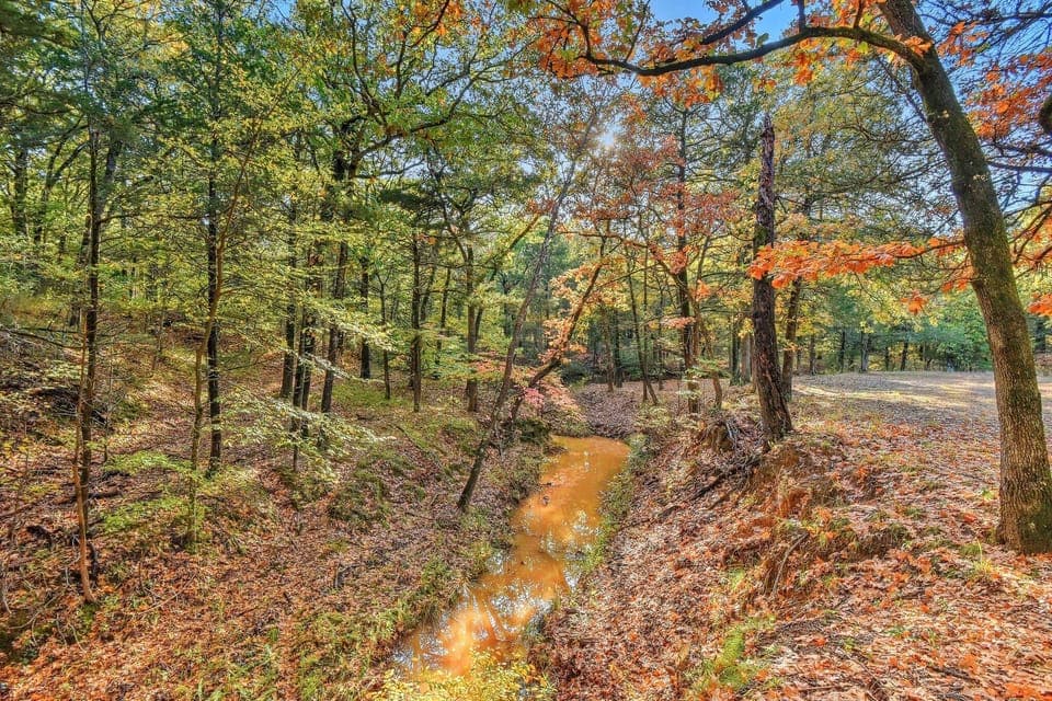 So many insta-worthy spots on the ranch!   