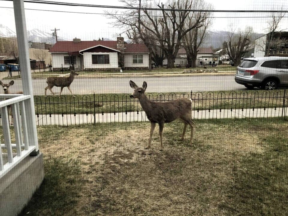 Neighbors