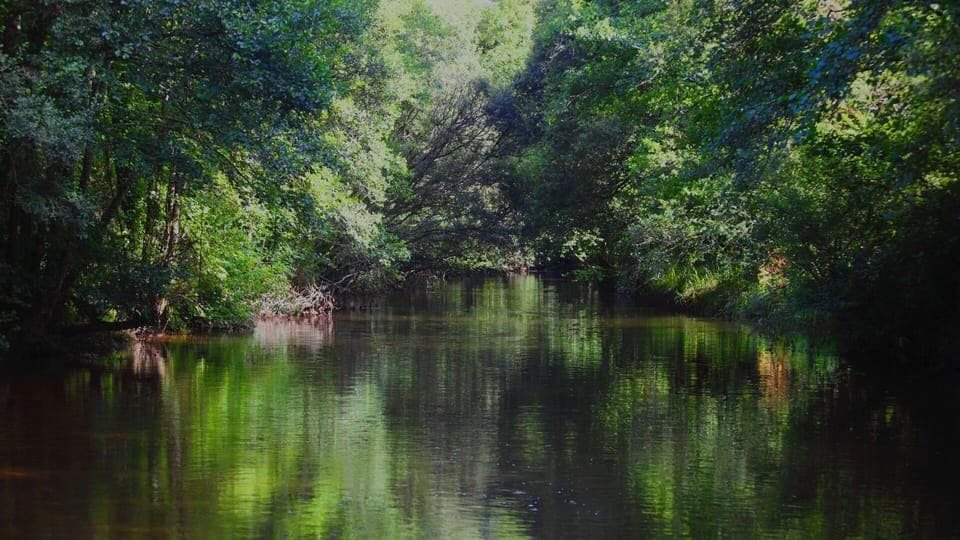 The Douffine river down the track from the Gites