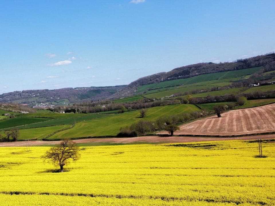 View | The Lodge, Monmouth