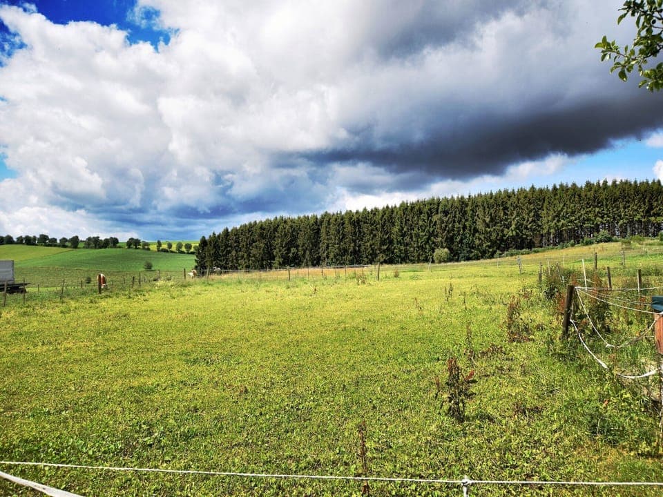 View from Holiday Home [summer]