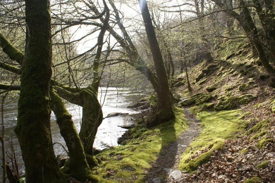 Region [summer] (>5 km)