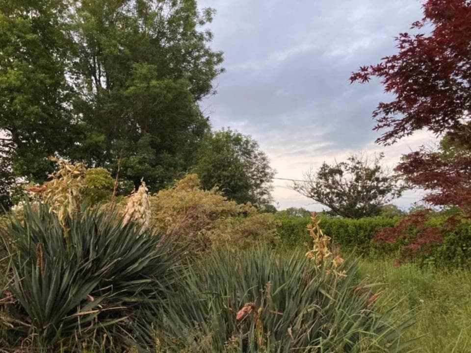 Region [summer] (>5 km)