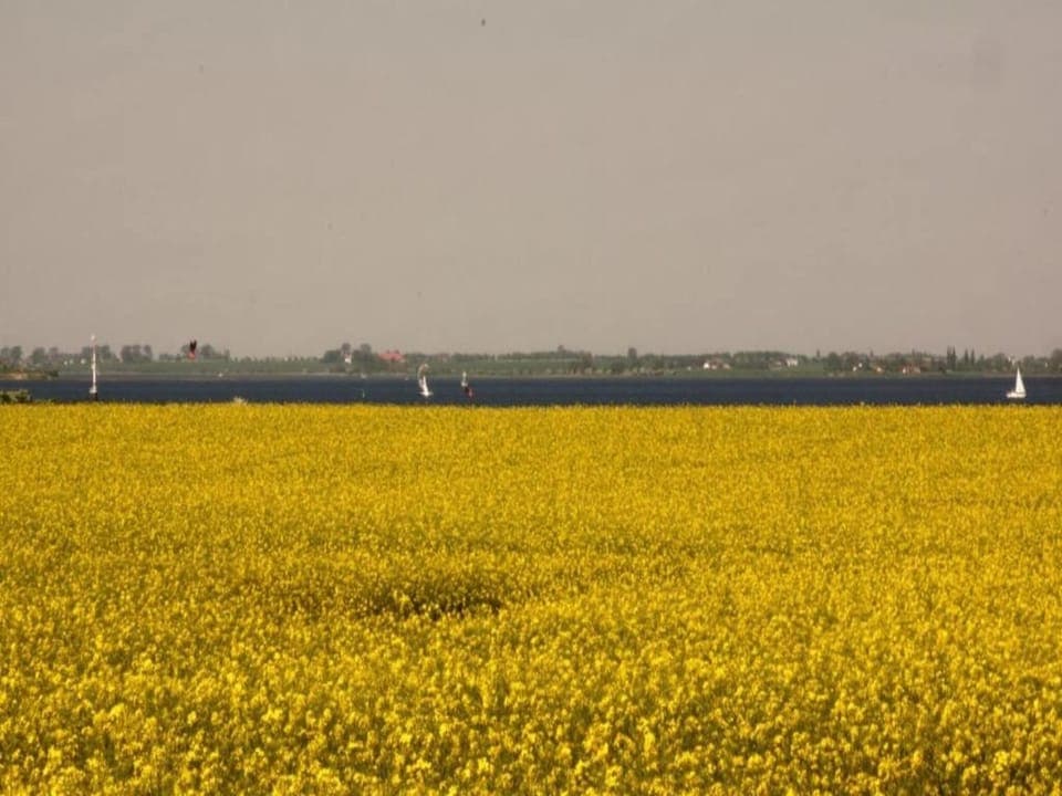 Region [summer] (>5 km)