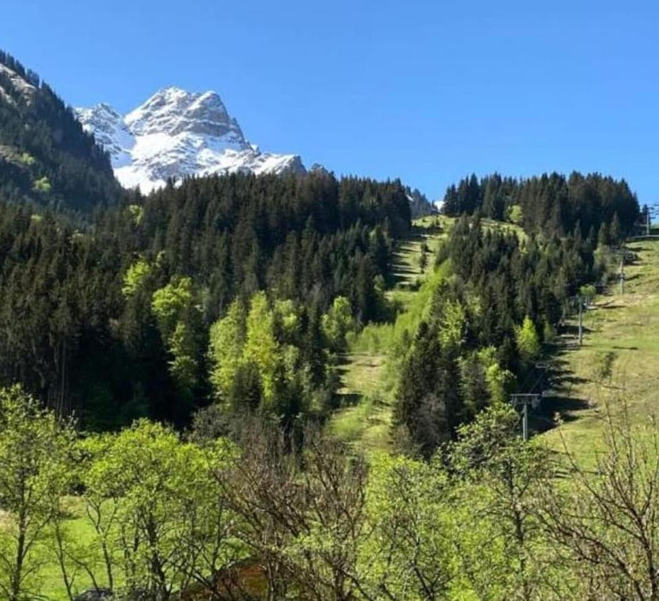 Region [summer] (>5 km)