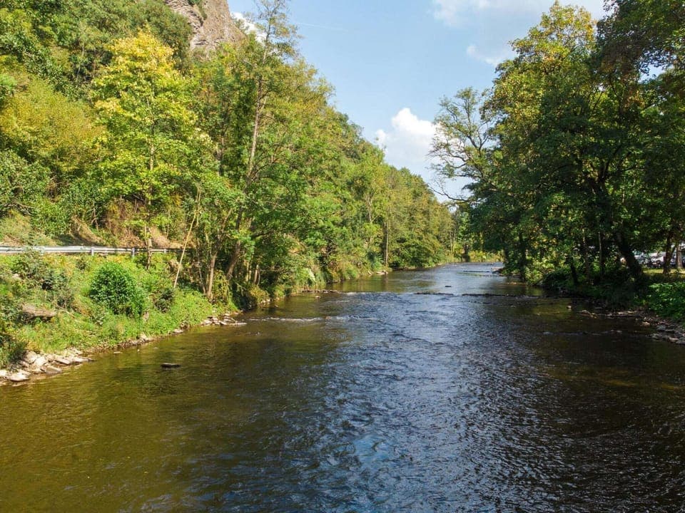 Region [summer] (>5 km)