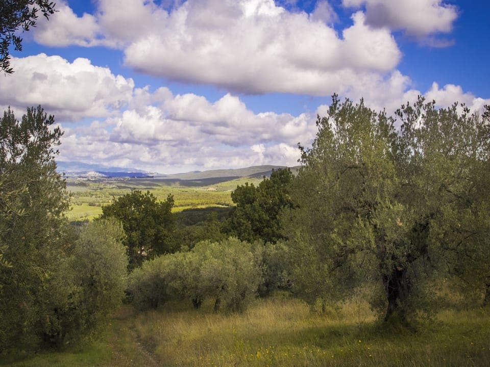 View from Holiday Home [summer]