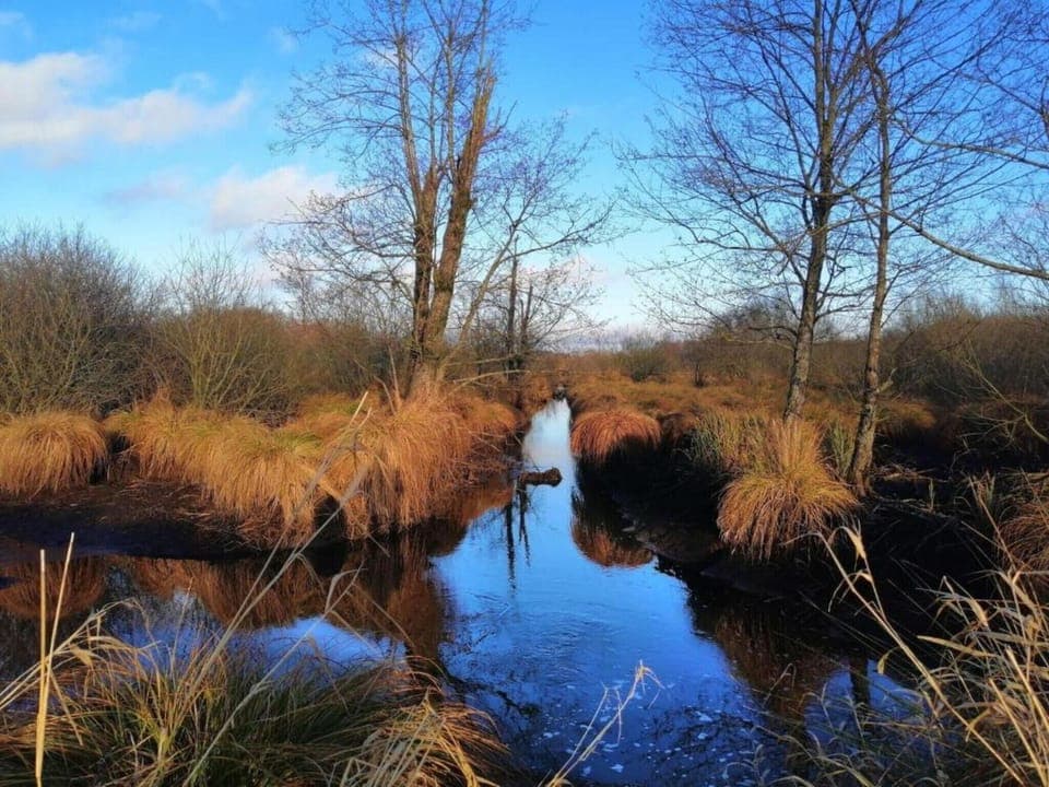 Region [summer] (>5 km)