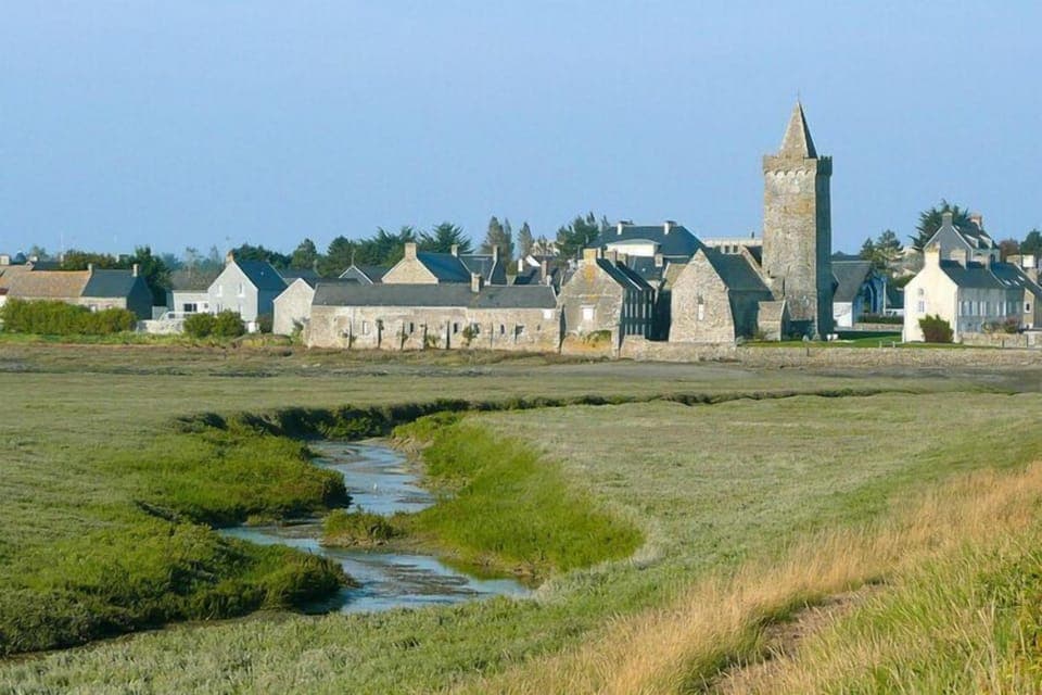 Region [summer] (>5 km)