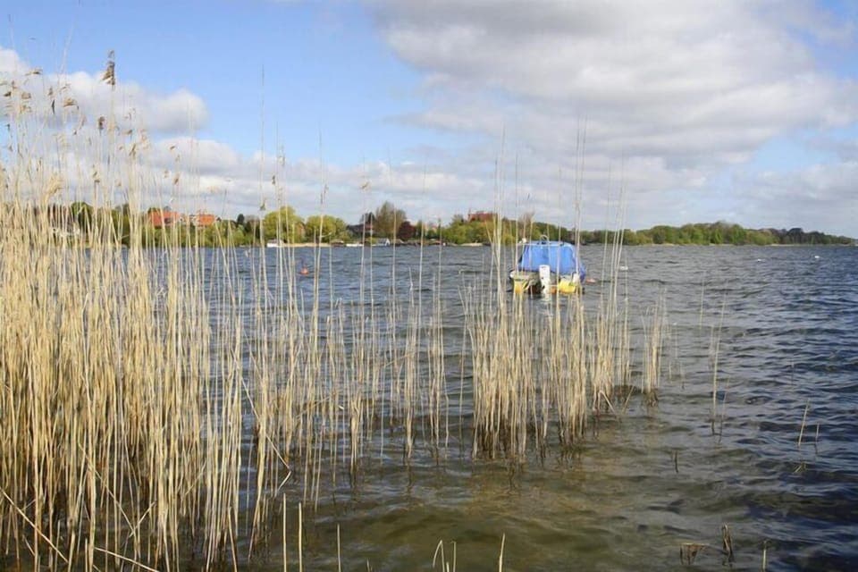 Immediate Surroundings [summer] (<1 km)