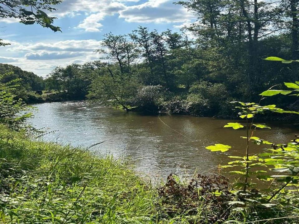 Region [summer] (>5 km)