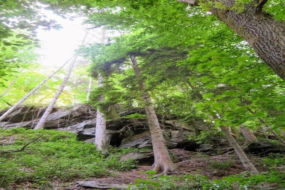 Region [summer] (>5 km)