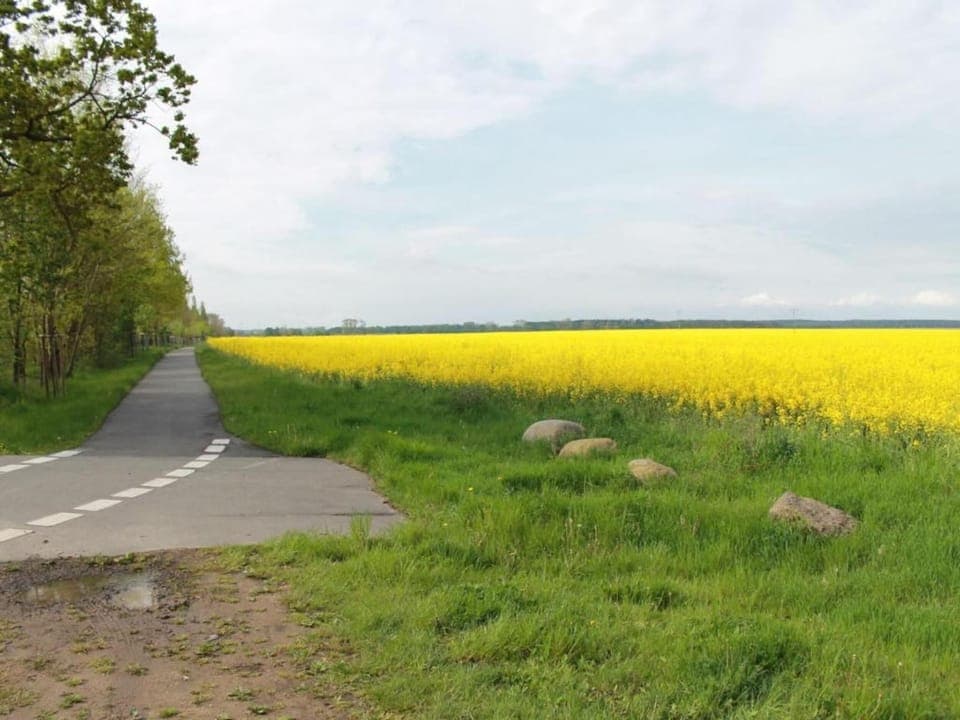 Region [summer] (>5 km)