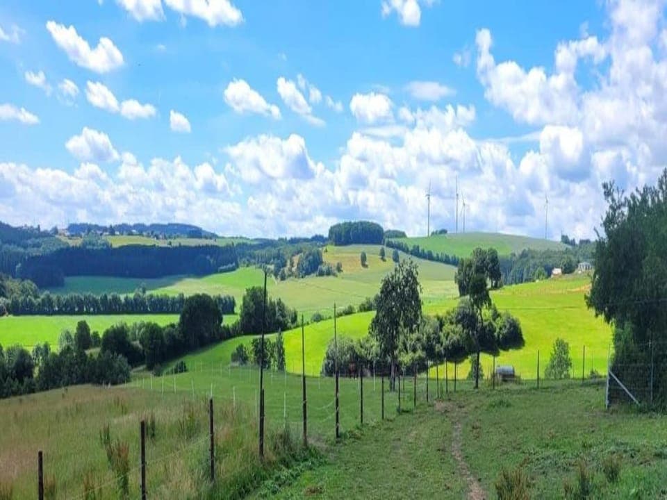 Surroundings [summer] (1-5 km)