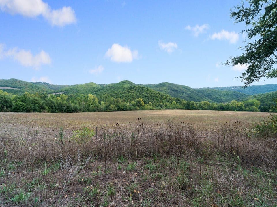 View from Holiday Home [summer]