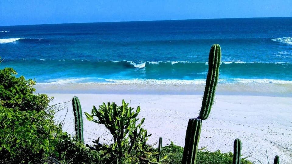 Bungalow, 1 Bedroom, Smoking, Patio | Beach