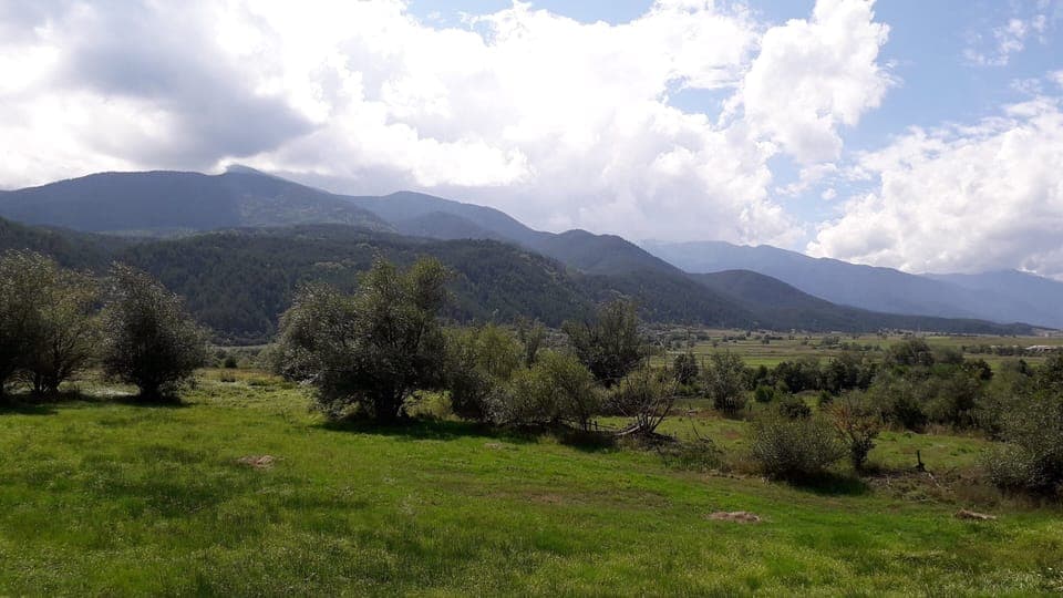 Standard Twin Room | View from room