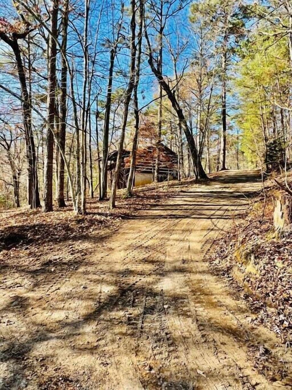 Driveway up to the cabin