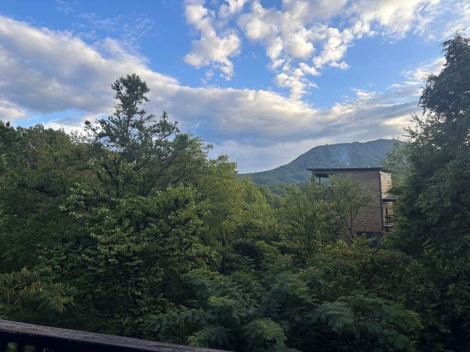 View from property