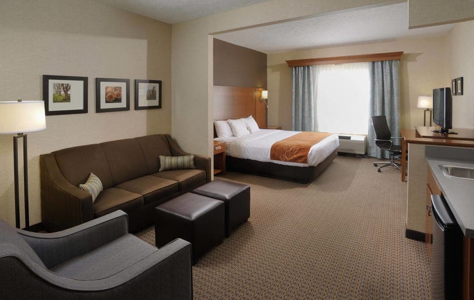 Suite, 1 King Bed | Living area | 40-inch LED TV with cable channels, TV