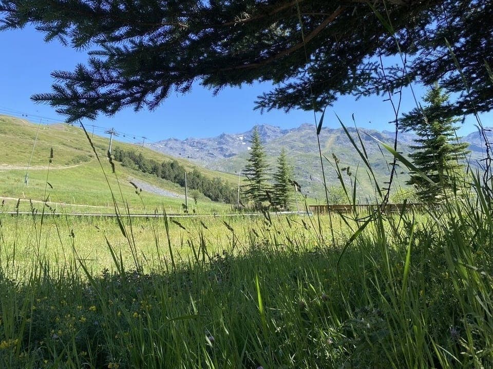 View from the Terrace