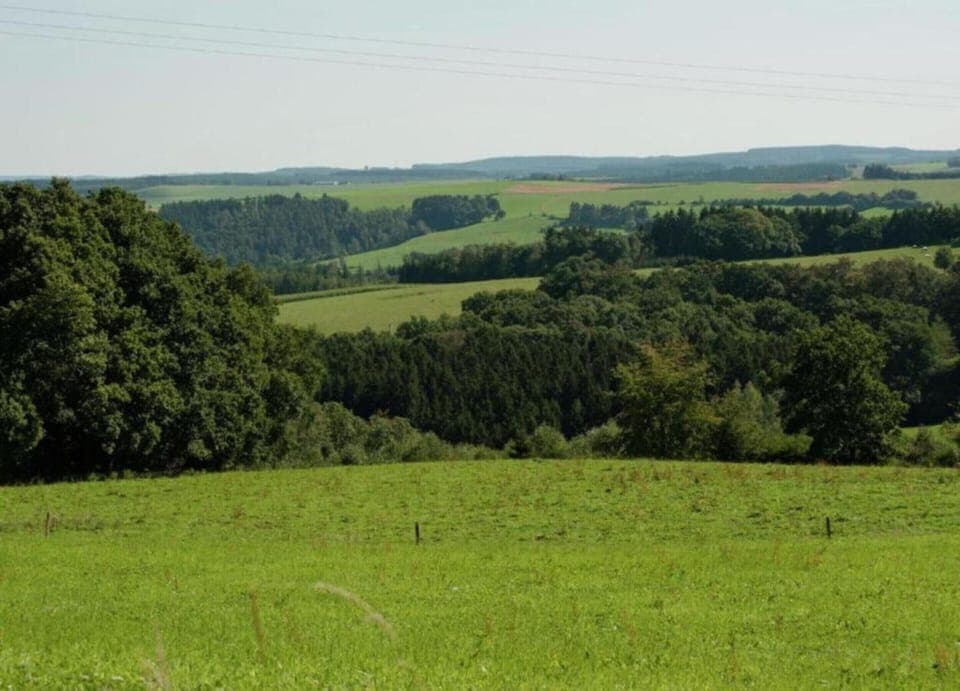 House | View from property