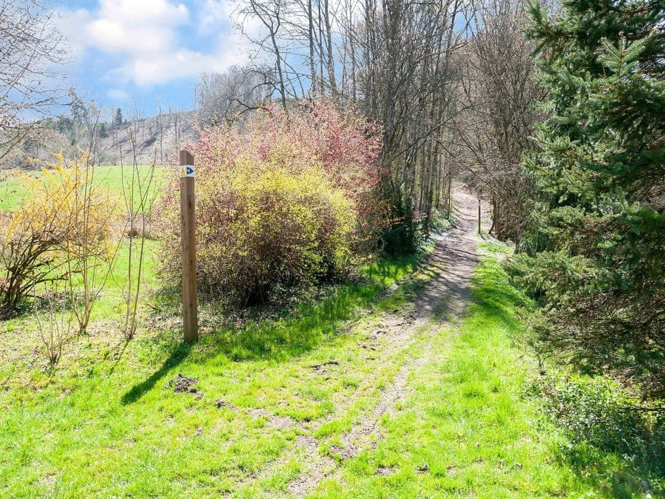 House | View from property