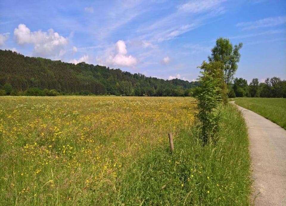 Apartment | View from property