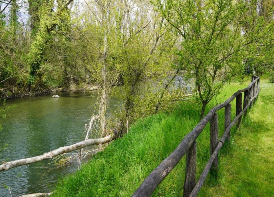 House | View from property