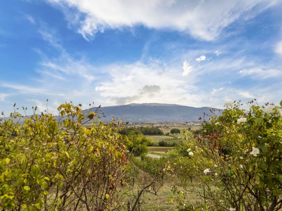 Villa | View from property