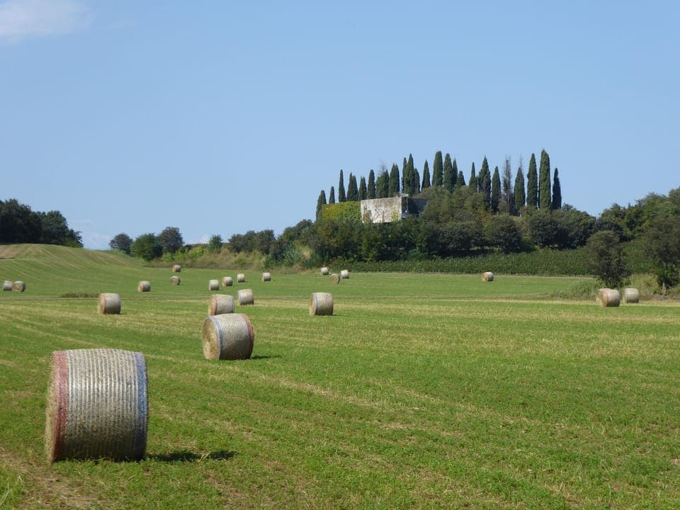House | View from property