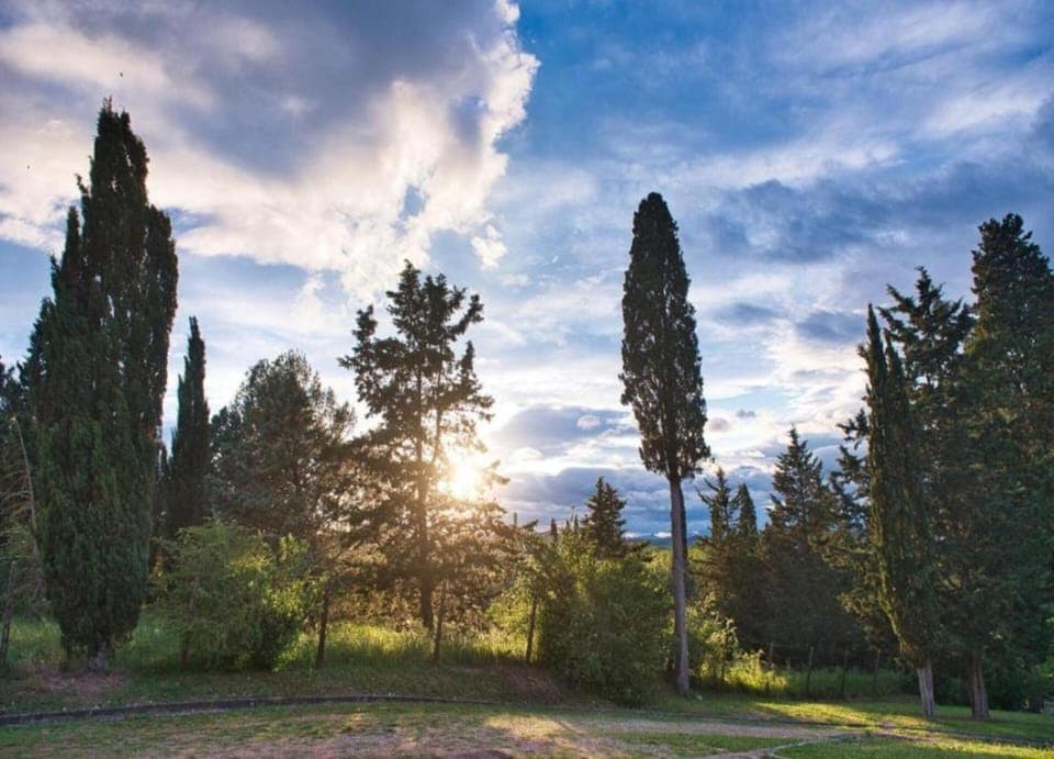 House | View from property