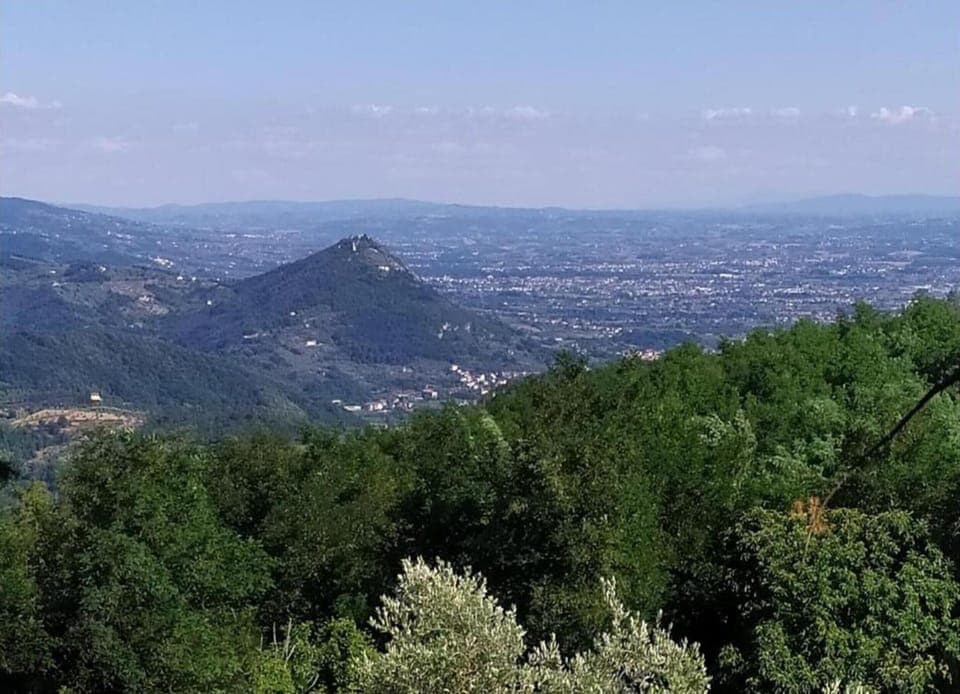 Chalet | View from property