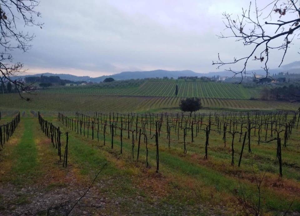 Apartment | View from property