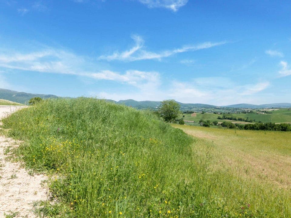 Apartment | View from property