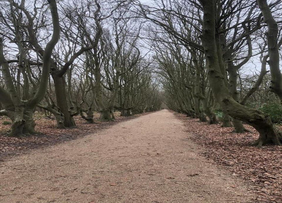 Apartment | View from property